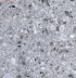 Плитка Kerranova Terrazzo светло-серый матовый K-331 MR (60x60)